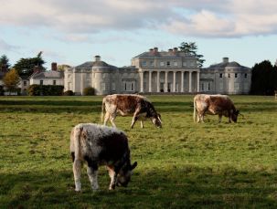 Shugborough Estate